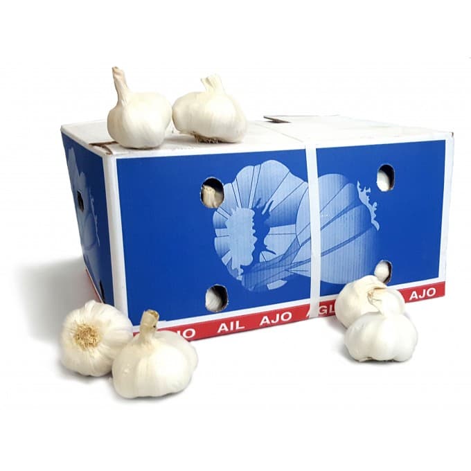 Garlic Box 10kg
