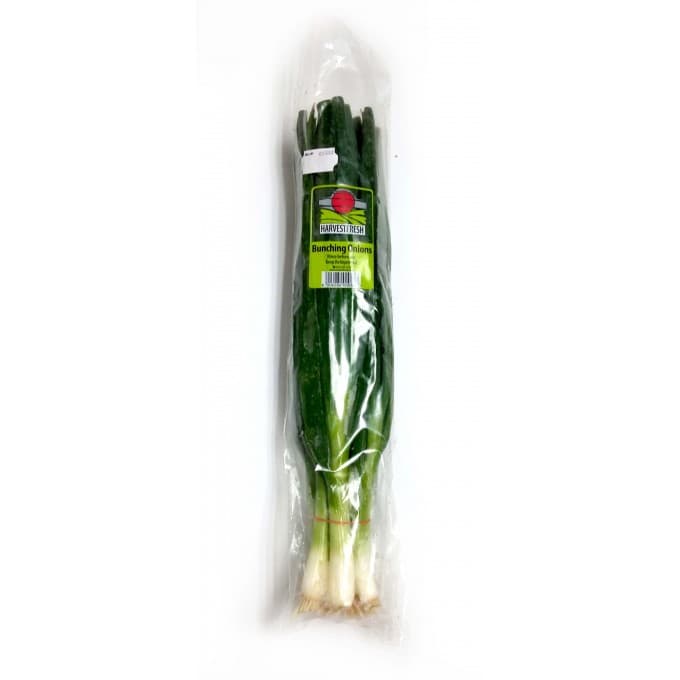 Harvest Fresh Spring Onion