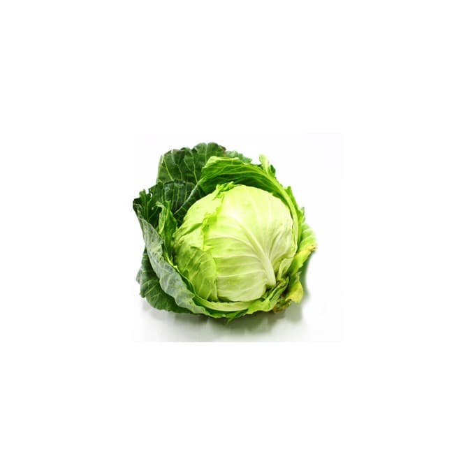 Green Cabbage Each