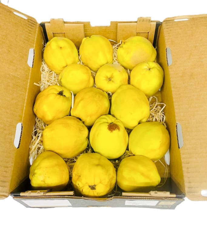 Kweepers Quince Large Black Box