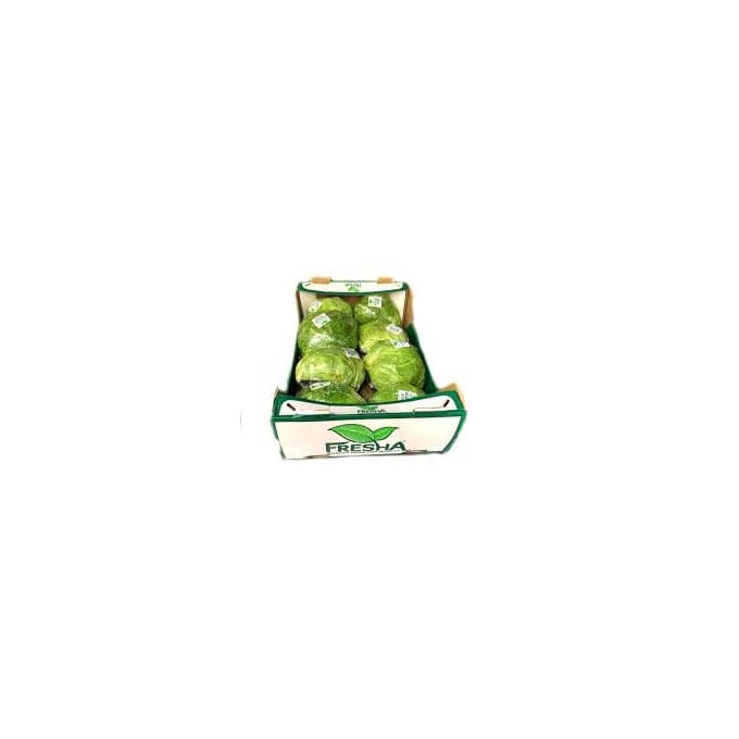 Lettuce Box x8